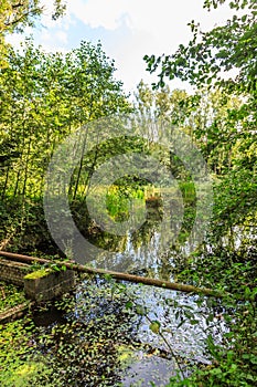 Experimental installations in the Waterloopbos