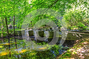 Experimental installations in the Waterloopbos