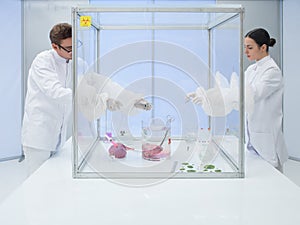 Experimenting on biological matter in sterile chamber