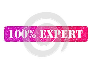 Expert 100% stamp symbol, label sticker sign button, text banner vector illustration