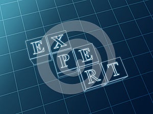 Expert blueprint