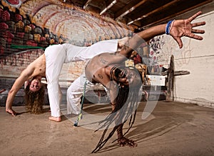 Expert Capoeira Performers
