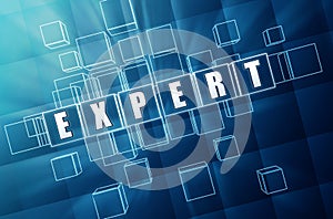 Expert - concept image