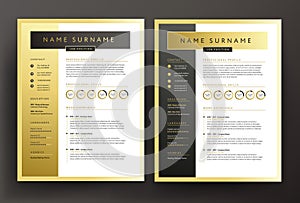 Expert CV / resume template in black and gold colors - professional curriculum vitae vector design