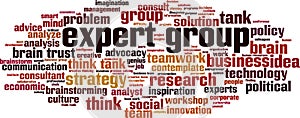 Expert group word cloud