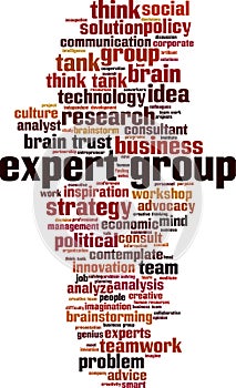 Expert group word cloud