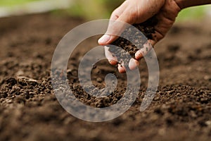 Expert hand of farmer checking soil health