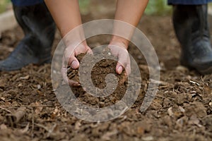 Expert hand of farmer checking soil health