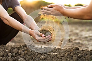 Expert hand of farmer pouring good soil