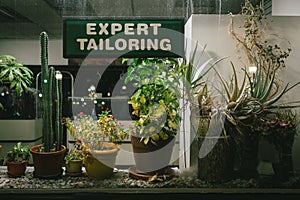 Expert Tailoring sign with plants, Cranford, New Jersey