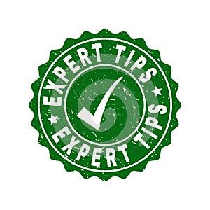 Expert Tips Scratched Stamp with Tick