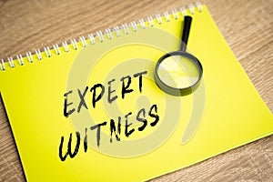 Expert witness inscription. Court cases process concept.