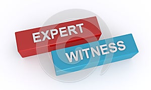 expert witness word block on white