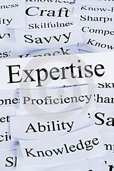 Expertise and Knowledge Concept
