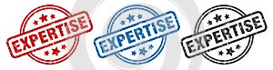 expertise stamp. expertise round isolated sign.