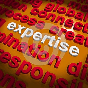 Expertise Word Cloud Shows Skills Proficiency And Capabilities photo