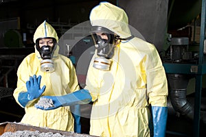 Experts analyzing infested material photo