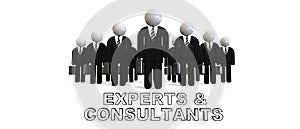 Experts and Consultats