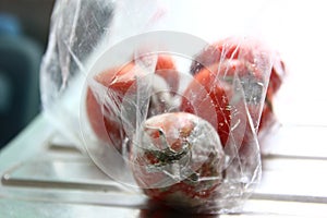 Expire red tomato in plastic bag
