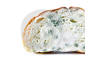 Expired Bread with Mold. on white background with Clipp