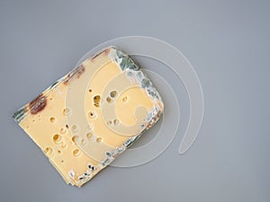 Expired moldy hard cheese purchased at the supermarket. Wastage of Lycopersicon. Incorrect long-term storage. Food waste