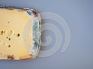 Expired moldy hard cheese purchased at the supermarket. Wastage of Lycopersicon. Incorrect long-term storage. Food waste