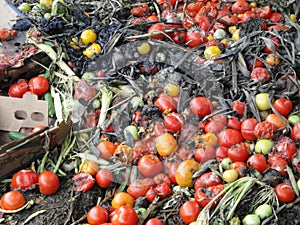 Expired Tomato is feedstock for biogas production