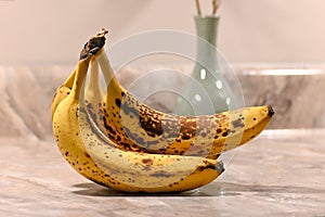 Expiring bananas on a kitchen counter with a plant in a vase in the background.