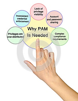 Why PAM IS Needed photo