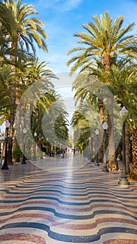 The Explanada de Alicante in parallel to the port photo