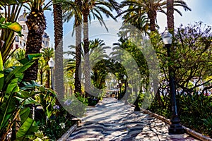 explanada promenade in Alicante spain photo