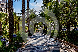 explanada promenade in Alicante spain photo