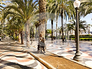 Explanada streen in Alicante photo