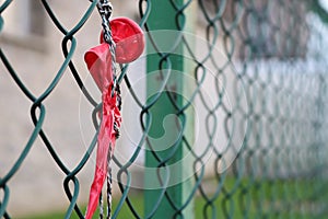 Exploded balloon hanging on green wire mesh