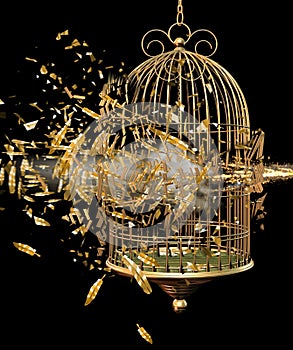 Exploding bird cage