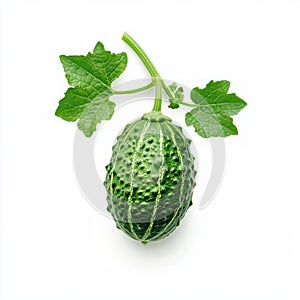 Exploding Cucumber Still photo