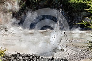 An exploding hot mud pool in Wai-O-Tapu Thermal Wonderland, Rotorua