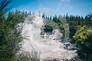 An exploding hot mud pool in Wai-O-Tapu Thermal Wonderland, Rotorua