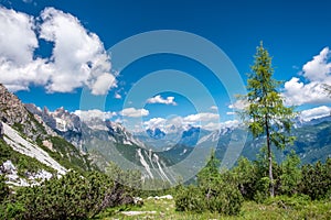 Ricerca estate bellissimo Alpi,, 