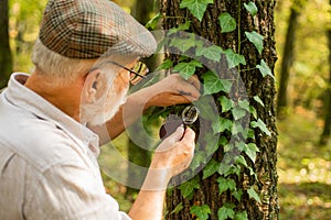 Explore nature. Pensioner with magnifier exploring forest autumn day. Botanist examine plants. Old man scientist