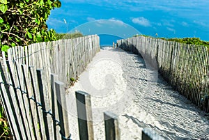 Explore serene beach pathways leading to the ocean, offering tranquil views and relaxation. Discover enchanting sand