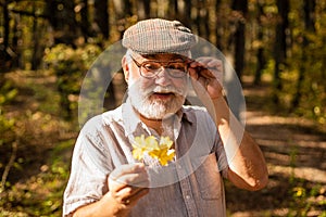Explore world around. Pensioner hiking in forest on sunny autumn day. Botanist examine herbs. Old man collect leaves