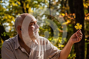 Explore world around. Pensioner hiking in forest on sunny autumn day. Man enjoy autumn nature. Old man collect leaves