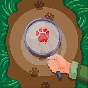 Explorer holding magnifier find clue on footstep animal. wildlife illustration vector