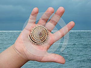 Per la conoscenza Spiaggia 