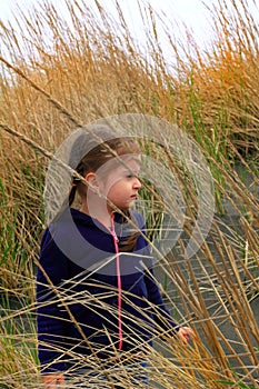 Exploring beach grass