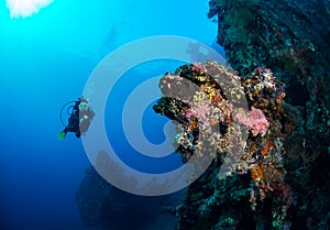 Exploring the coral reefs and wrecks around Tulamben on the island of Bali, Indonesia