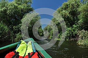Exploring Danube delta with a boat