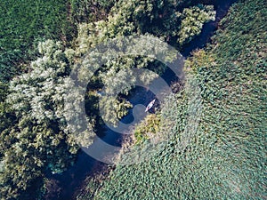 Exploring Danube Delta with a Canoe
