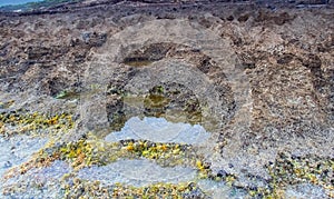 Para el conocimiento verde mareas piscinas sobre el Playa, Túnez 